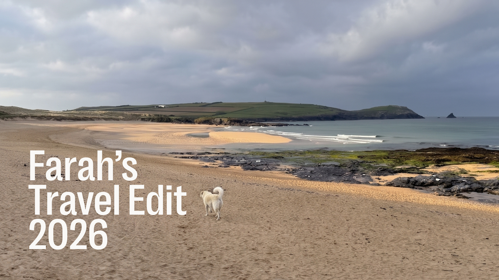 Travelling With Your Dog: A Considered Packing List