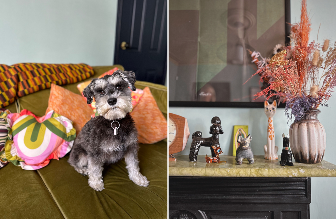 At Home With Johanna Haughey-Lewis