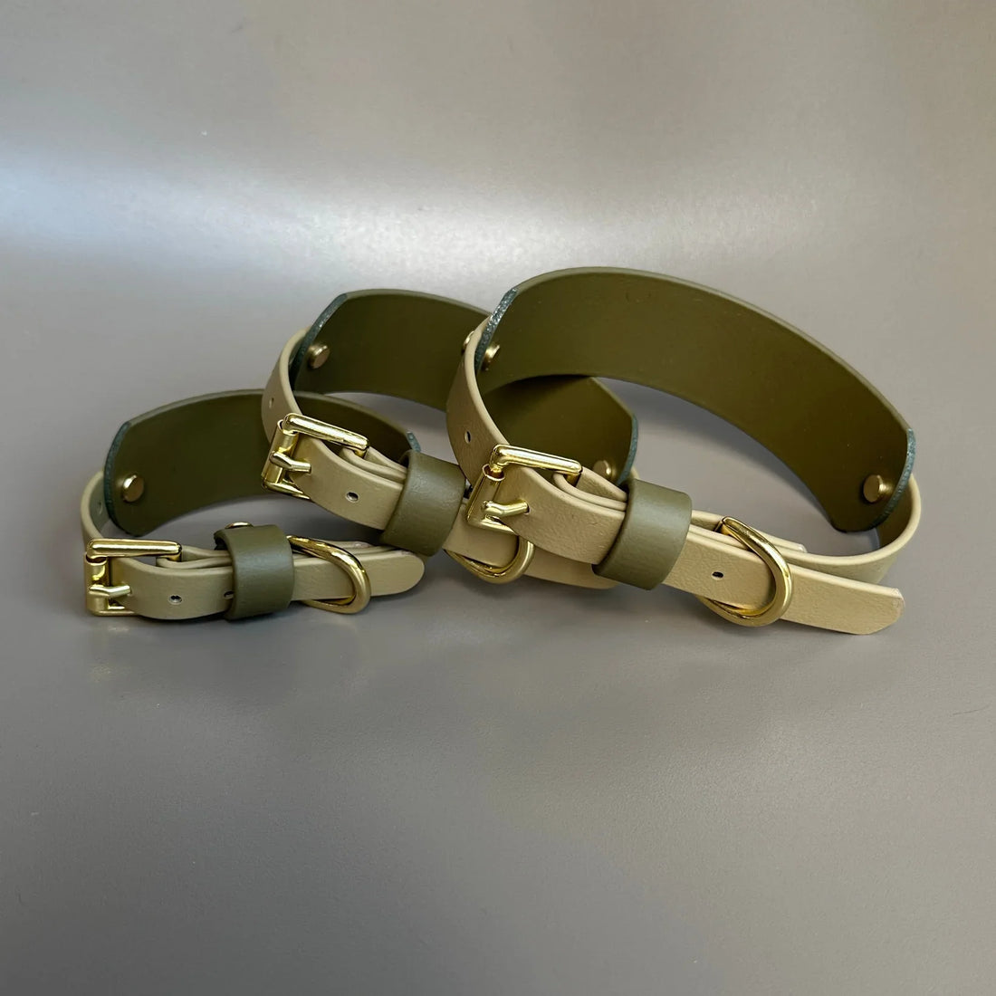 How to Choose the Perfect Dog Collar and Lead