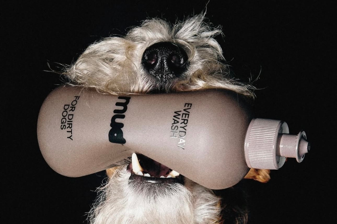 Meet the Maker: mud™