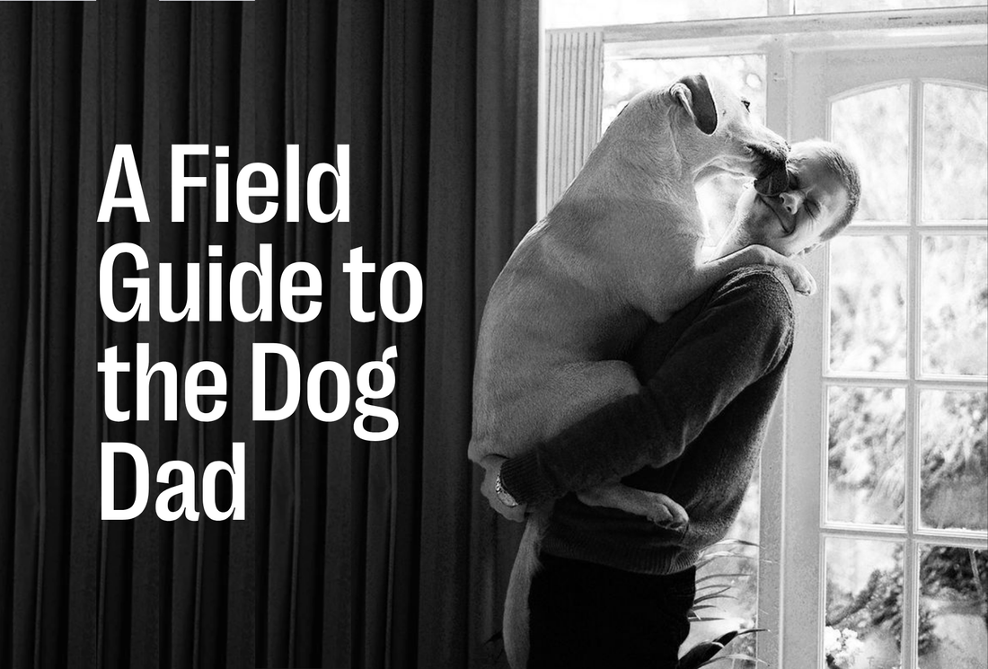 A Field Guide to the Dog Dad