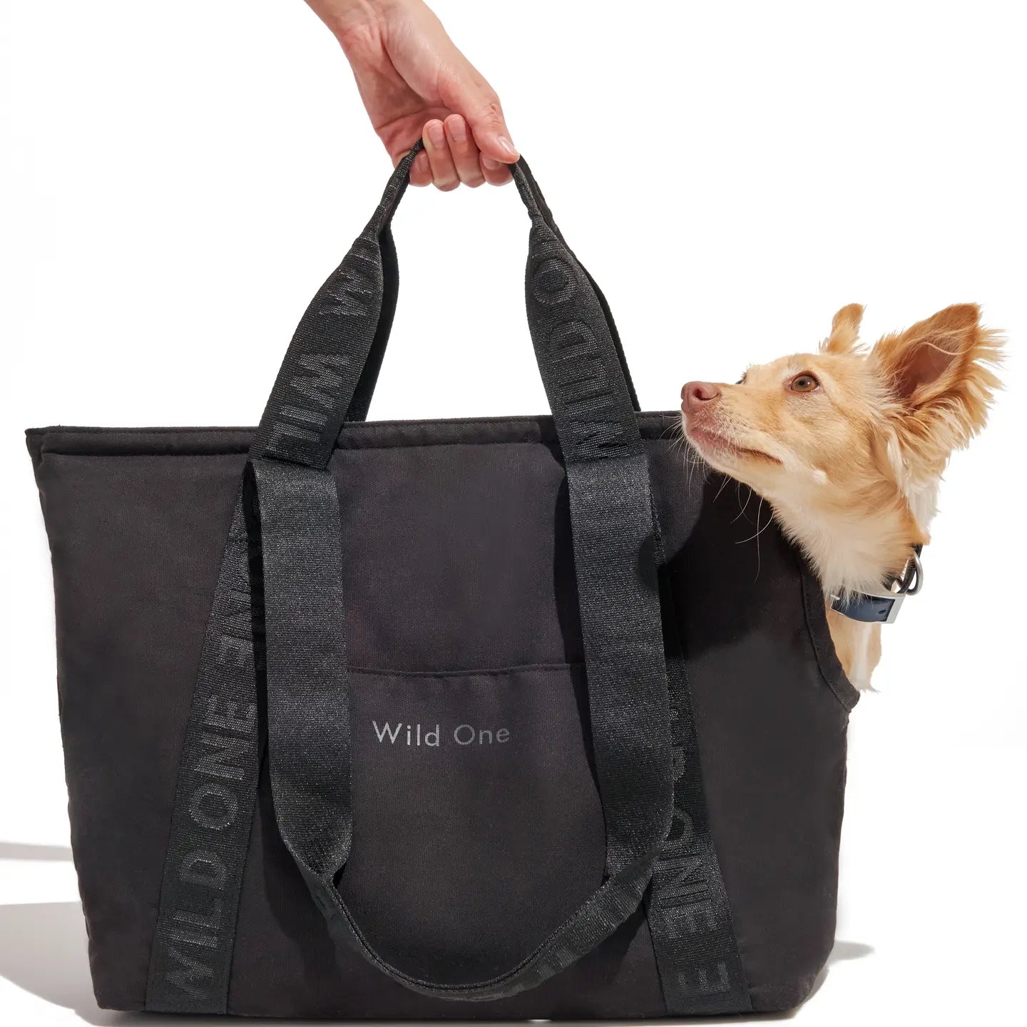 Pet Carrier