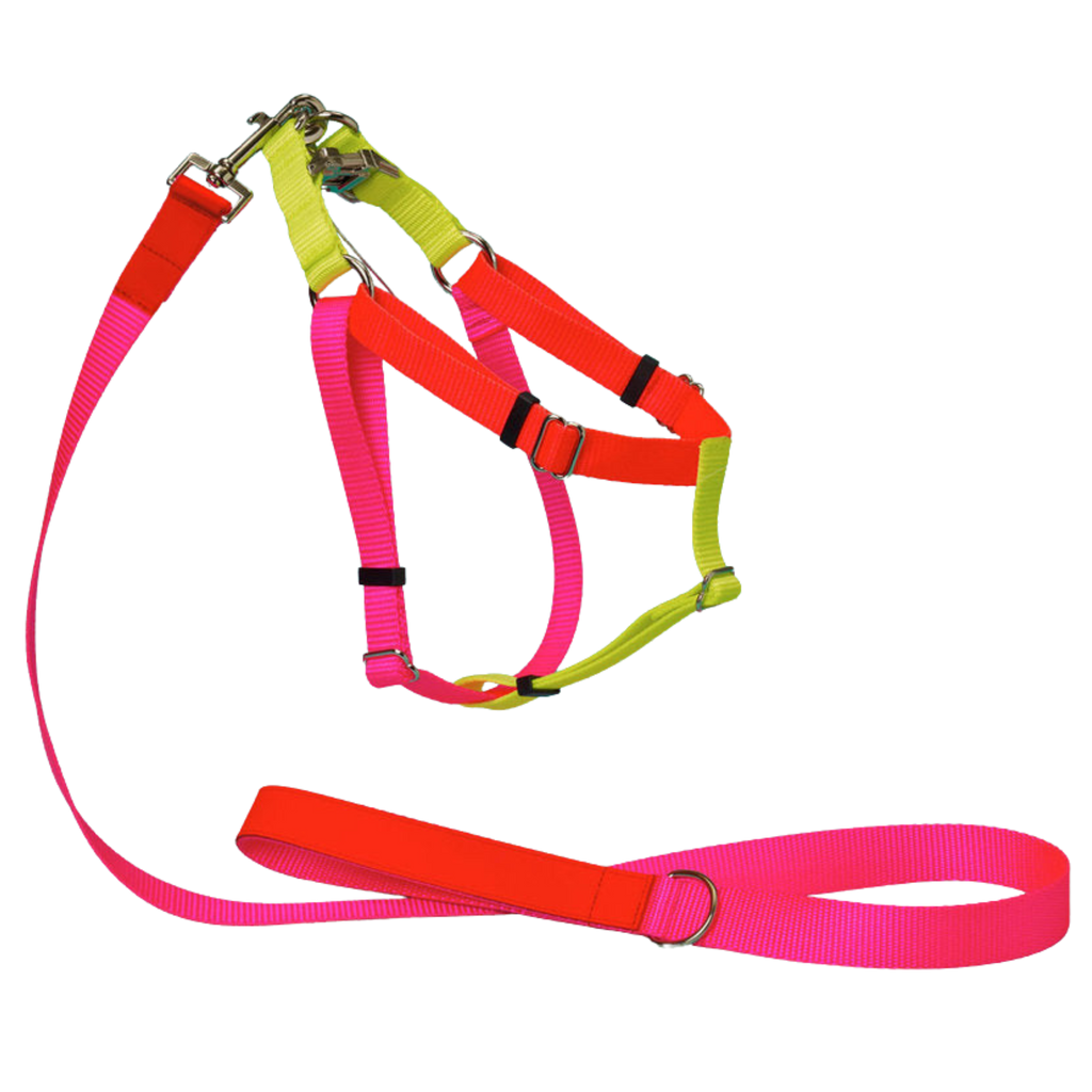 Collars & Harnesses