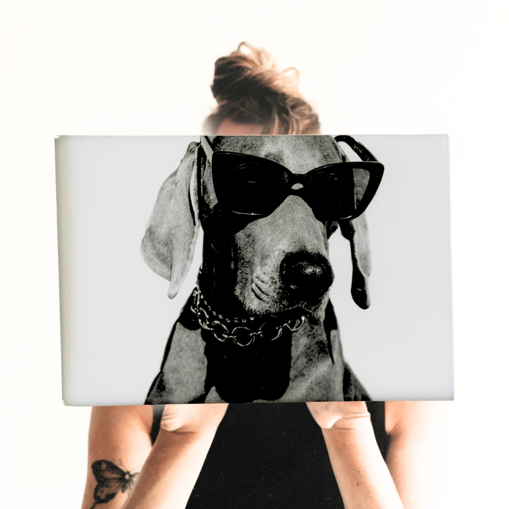Gifts for Dog Lovers