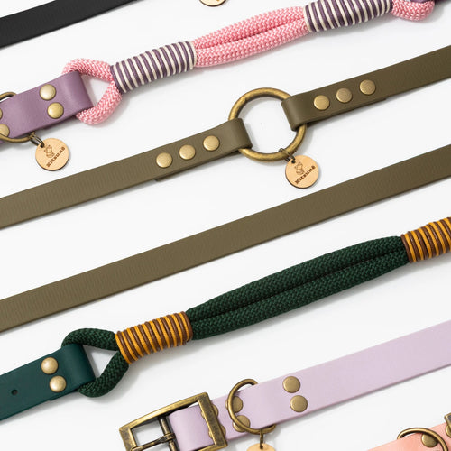 Collars, Leads & Harnesses