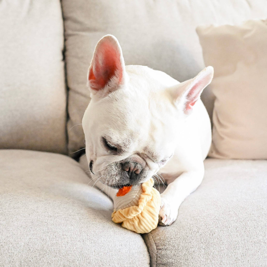 Dim Sum Pop enrichment dog toy