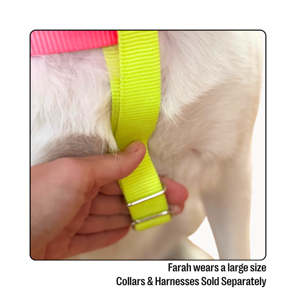 Nylon Colour Block Harness - Pink, Orange & Yellow