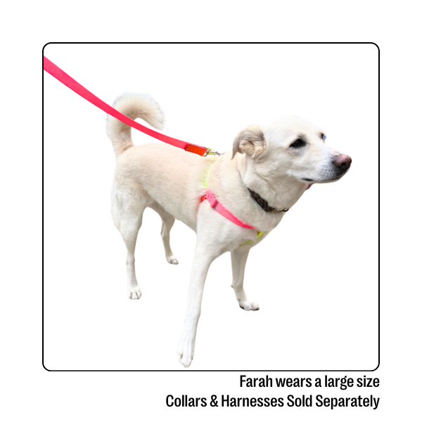 Nylon Colour Block Harness - Pink, Orange & Yellow