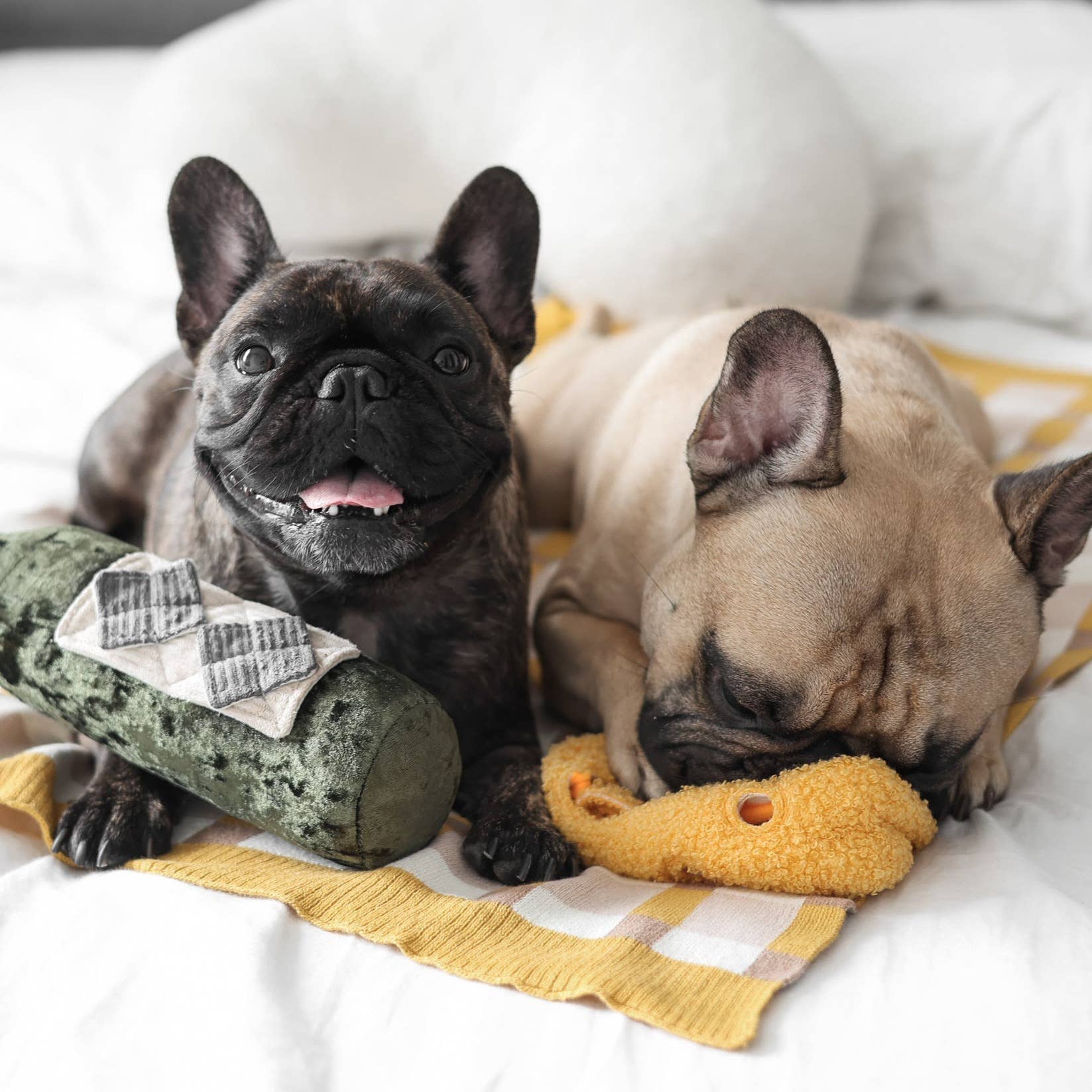 Merlot enrichment dog toy