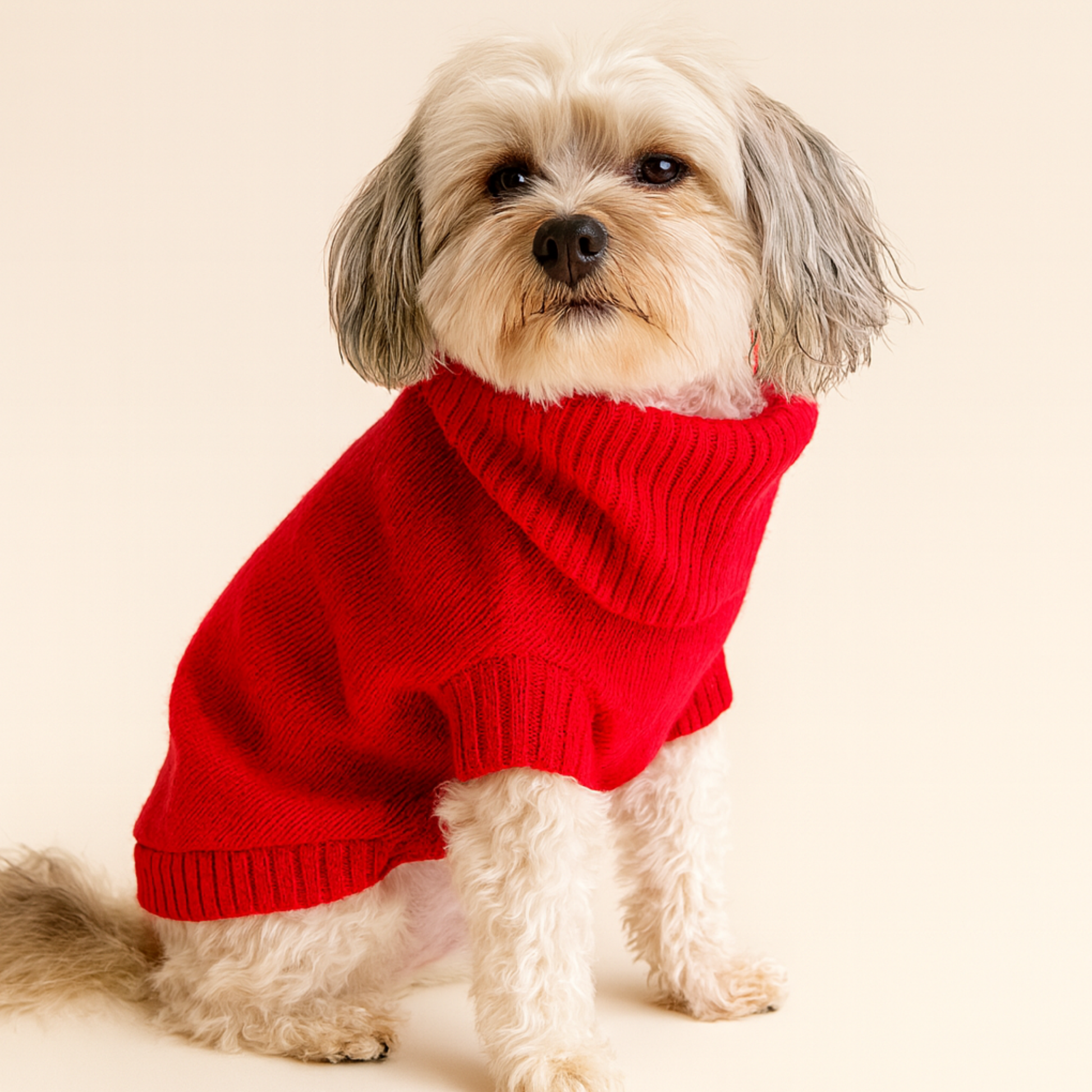 Cherry Red British Wool Jumper