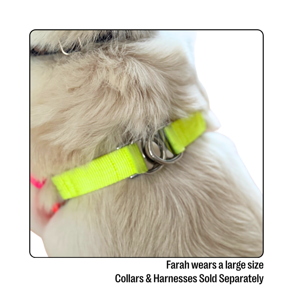 Nylon Colour Block Harness - Pink, Orange & Yellow