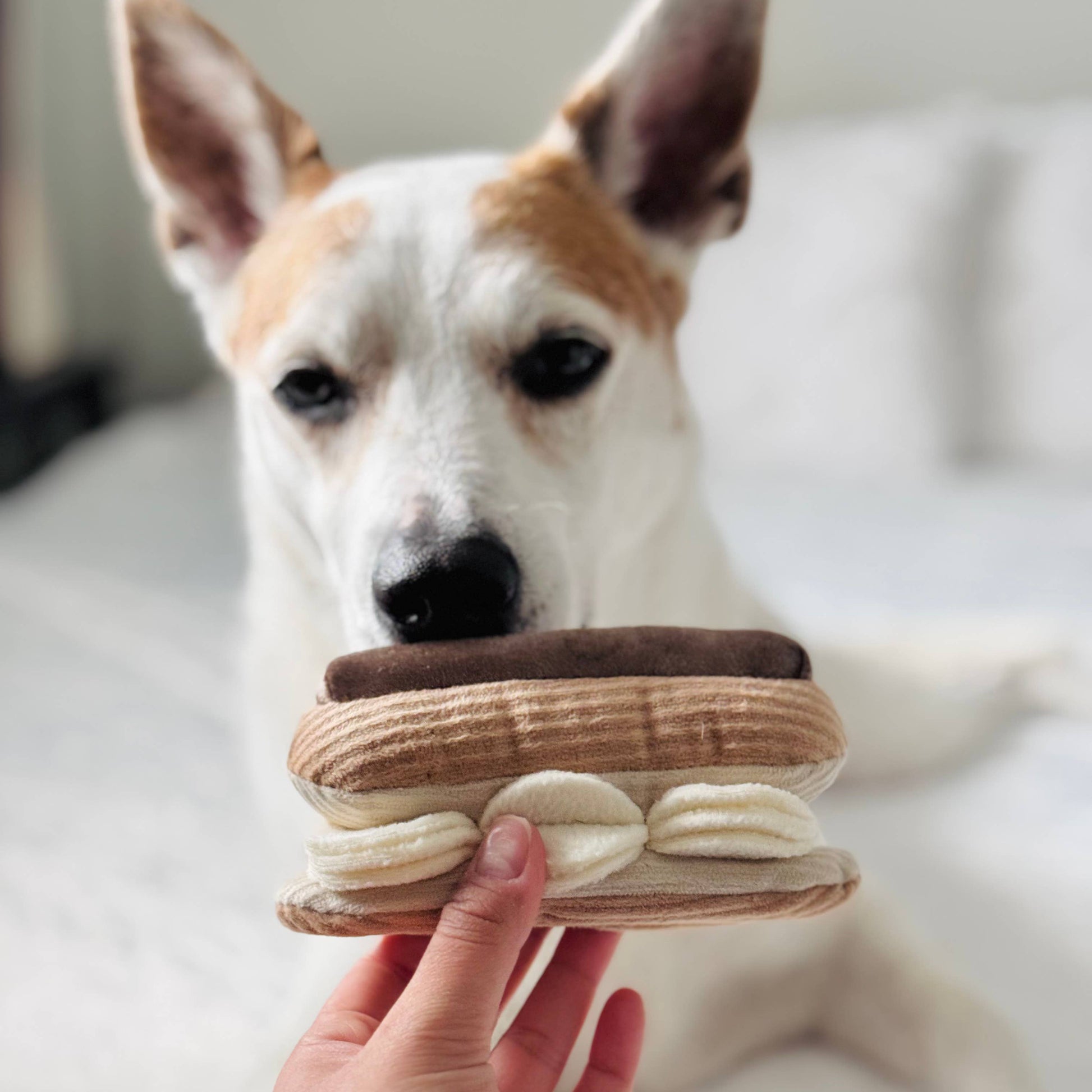Éclair enrichment dog toy