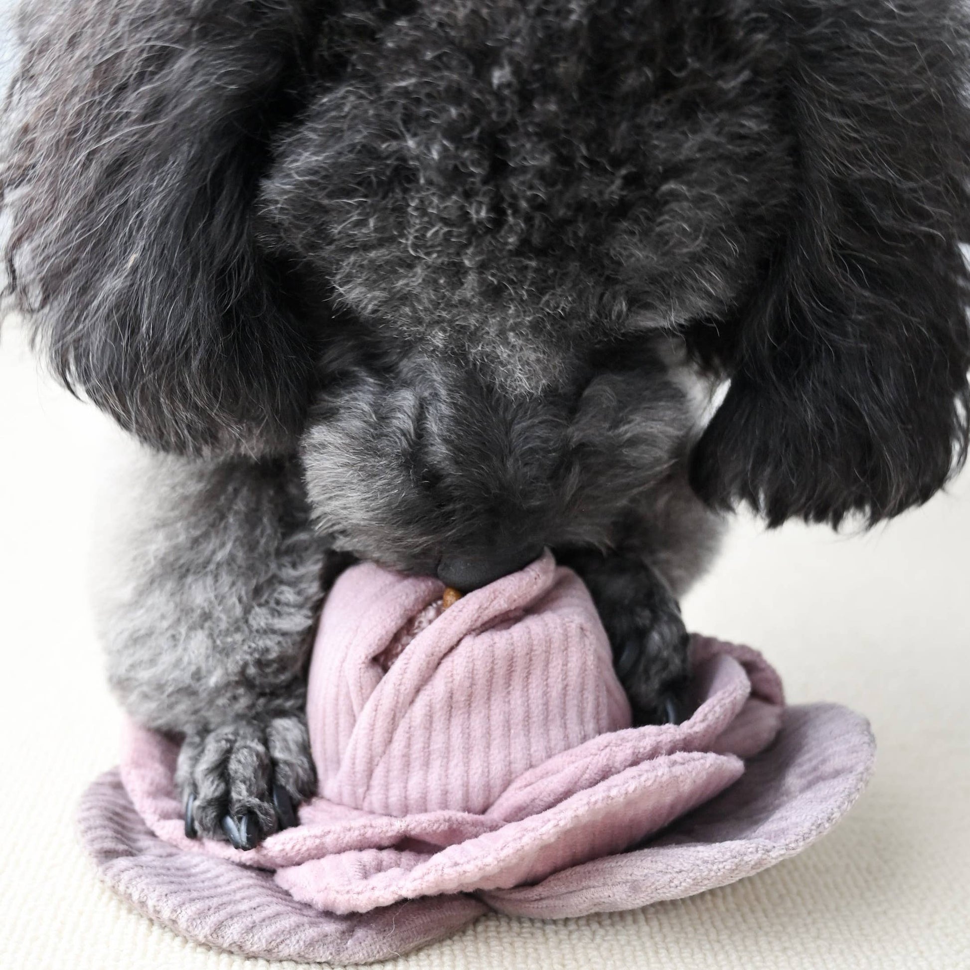 Cabbage Pop enrichment dog toy