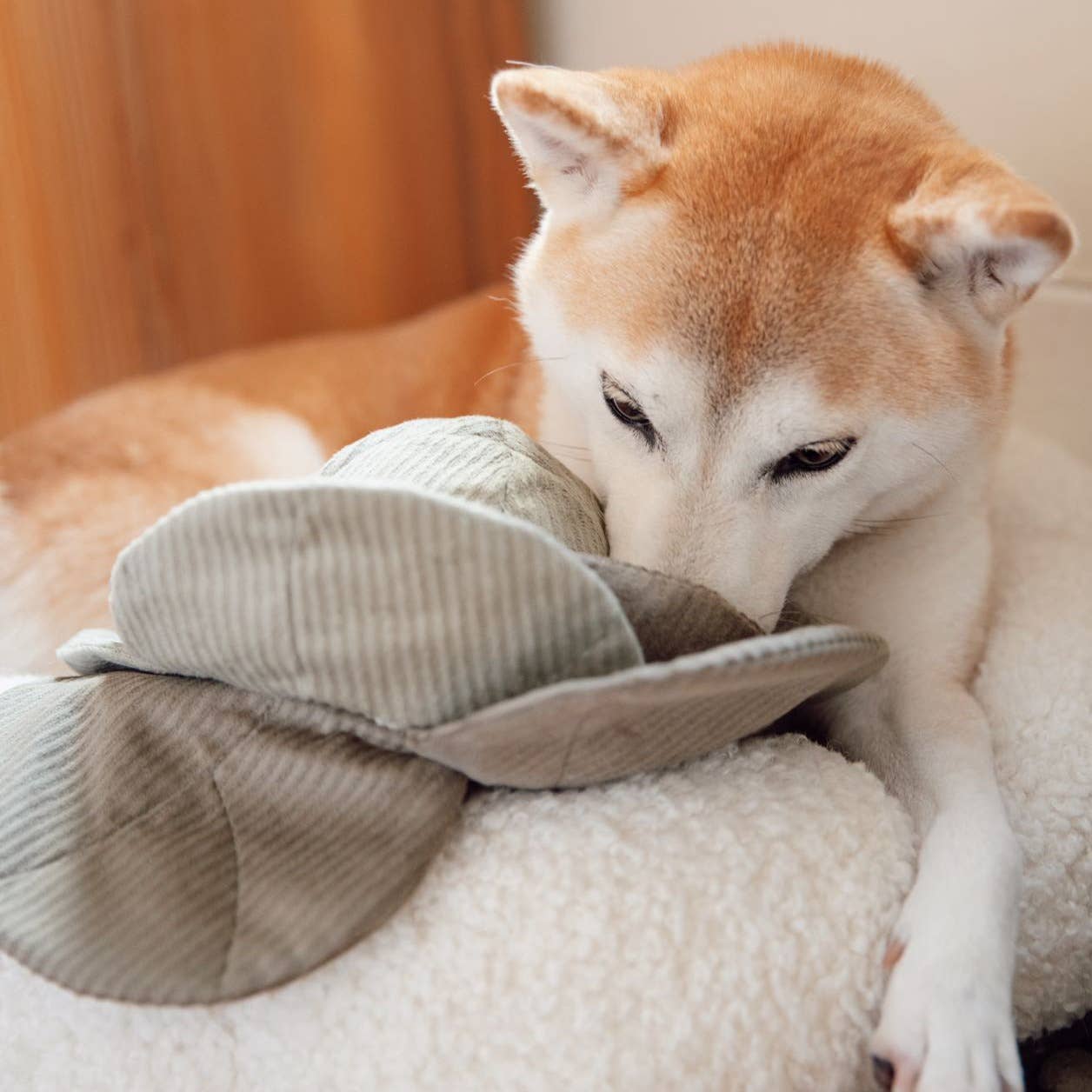Cabbage Pop enrichment dog toy