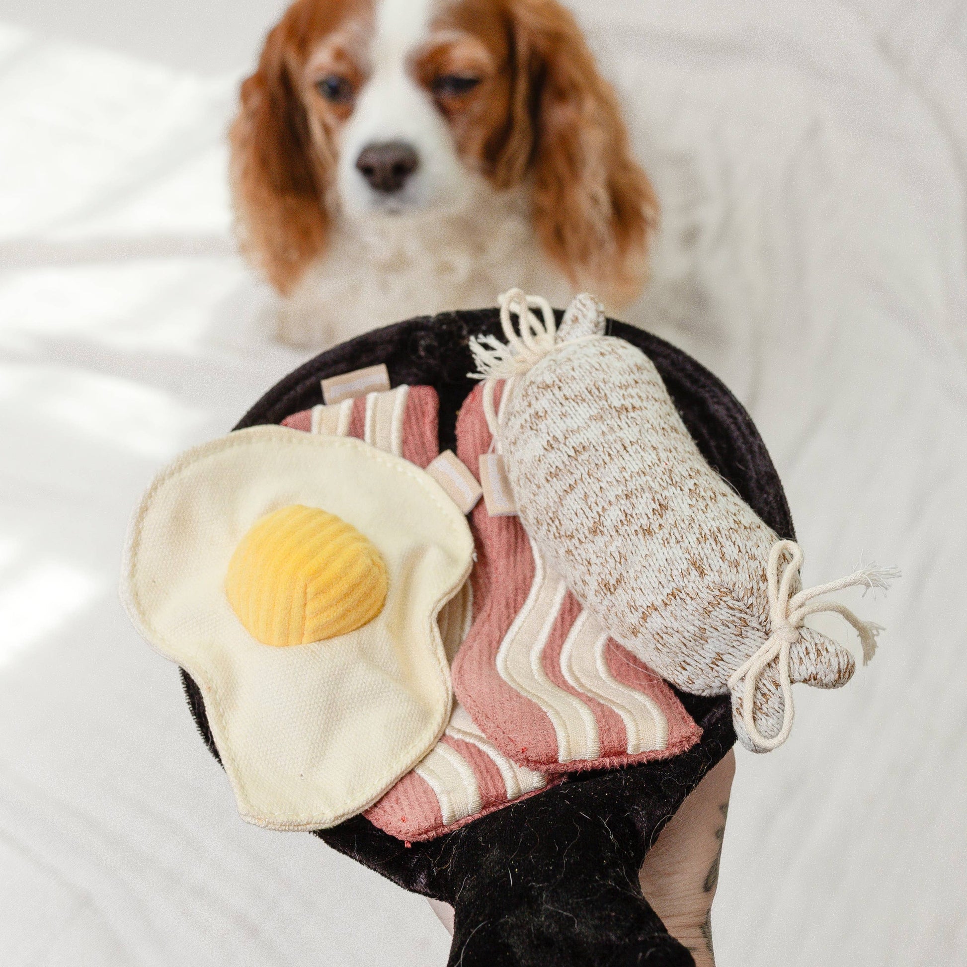 Breakfast Set enrichment dog toy