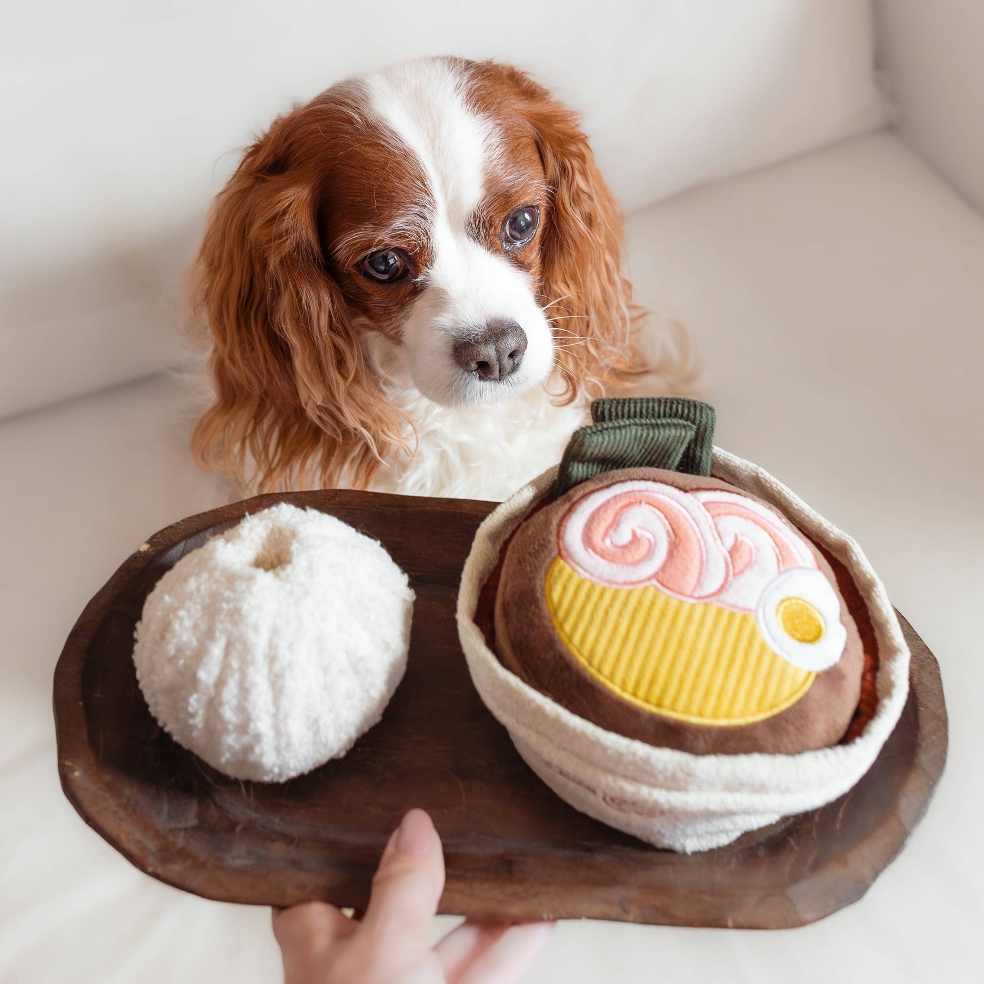 Ramen enrichment dog toy