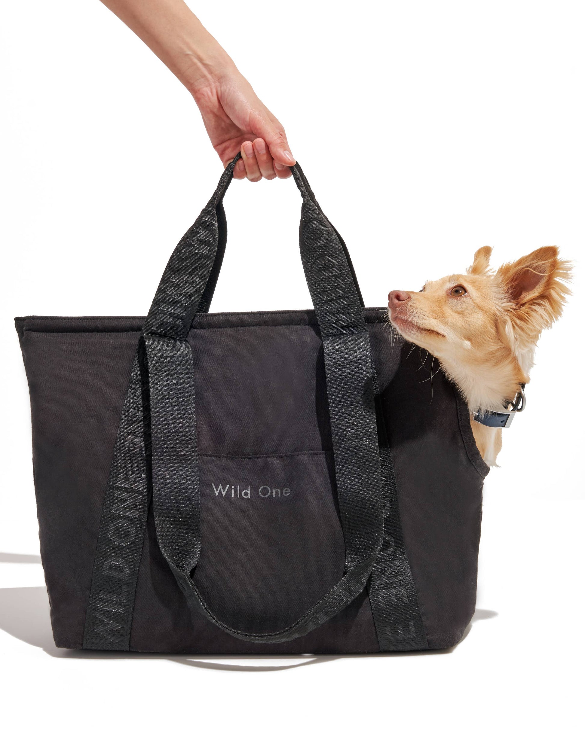 Cotton Everyday Carrier