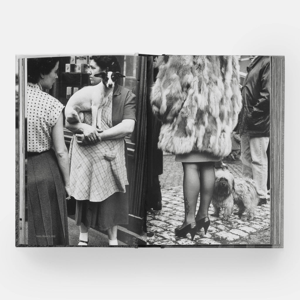 DogsDogs by Elliott Erwitt