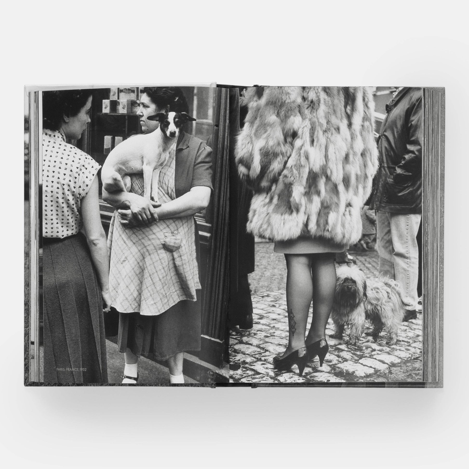 DogsDogs by Elliott Erwitt