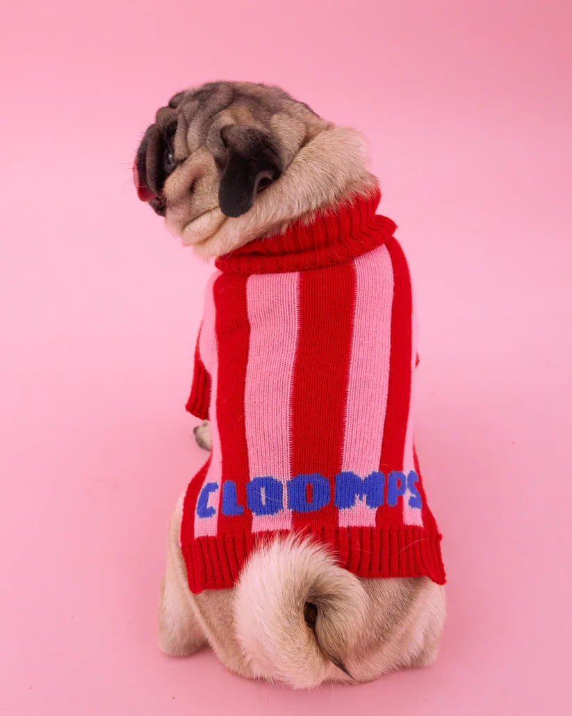 Lollipop Cloomps Jumper