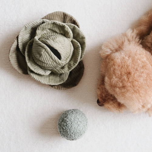 Cabbage Pop // Enrichment Dog Toy
