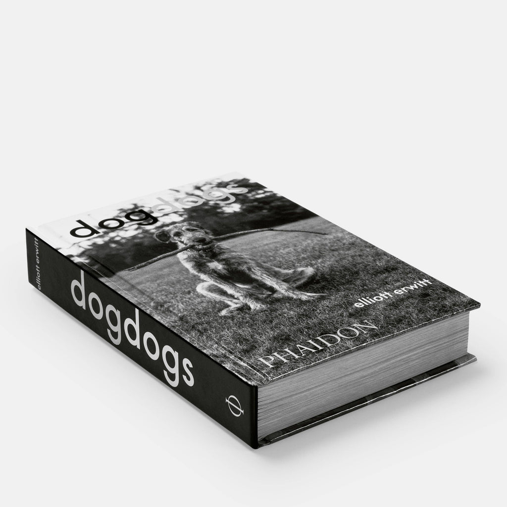 DogsDogs by Elliott Erwitt