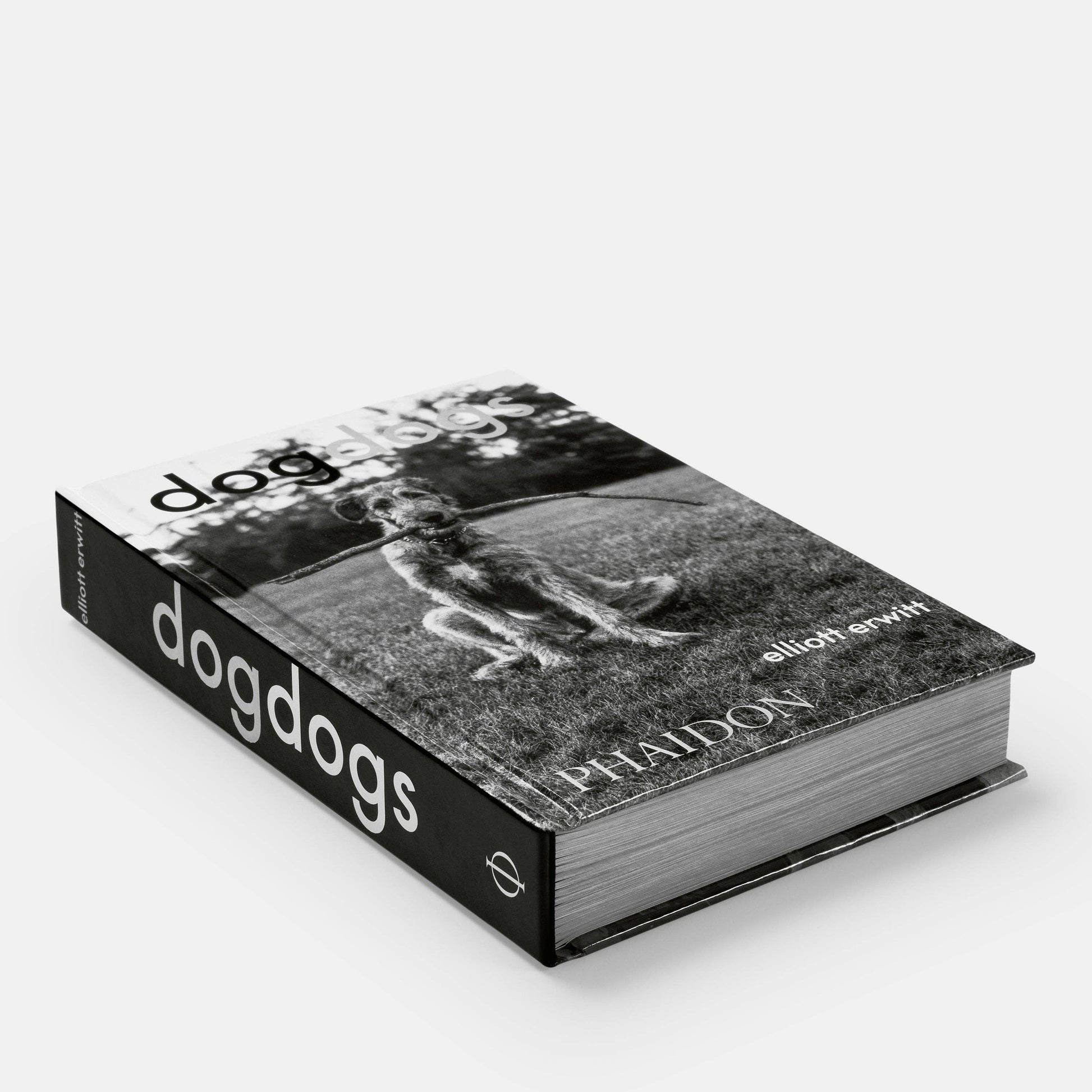 DogsDogs by Elliott Erwitt