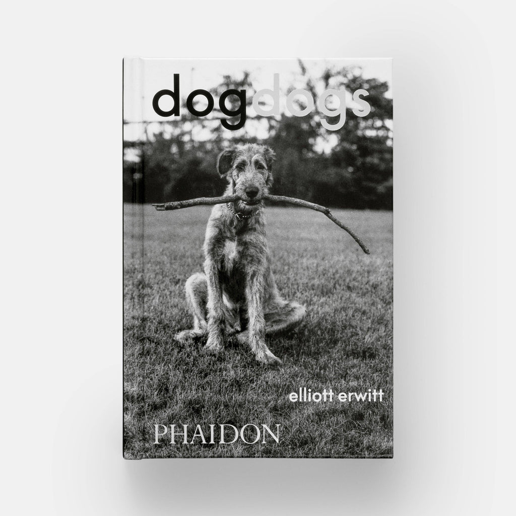 DogsDogs by Elliott Erwitt