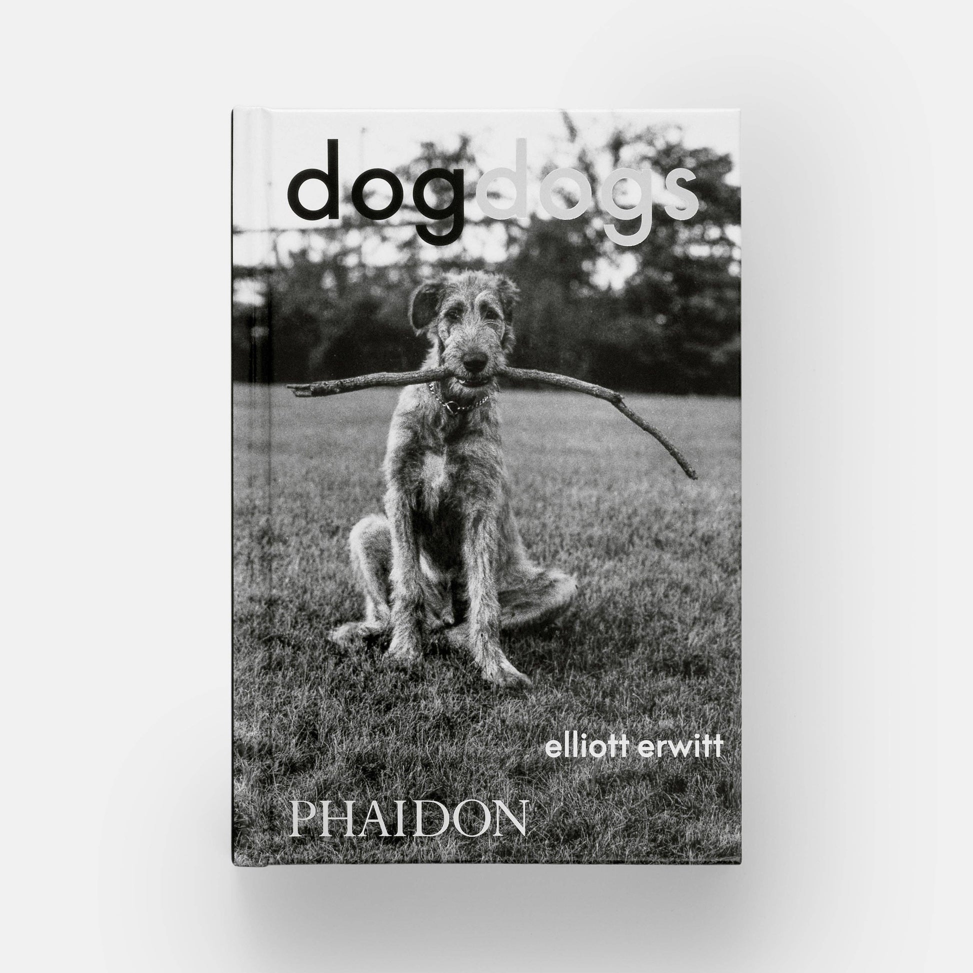 DogsDogs by Elliott Erwitt