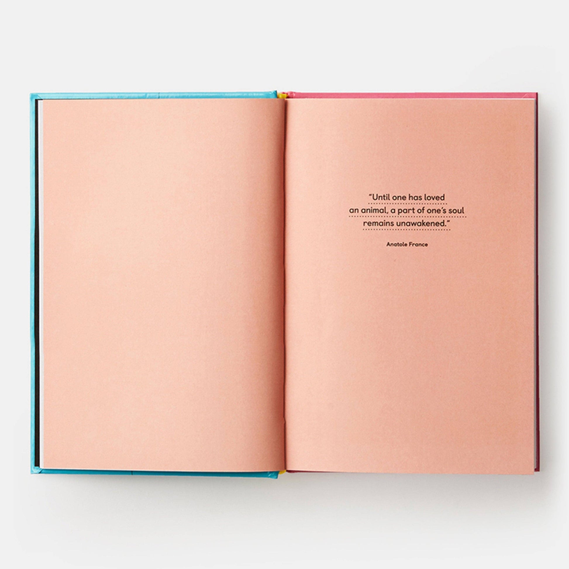 Pet-tecture: Design for Pets