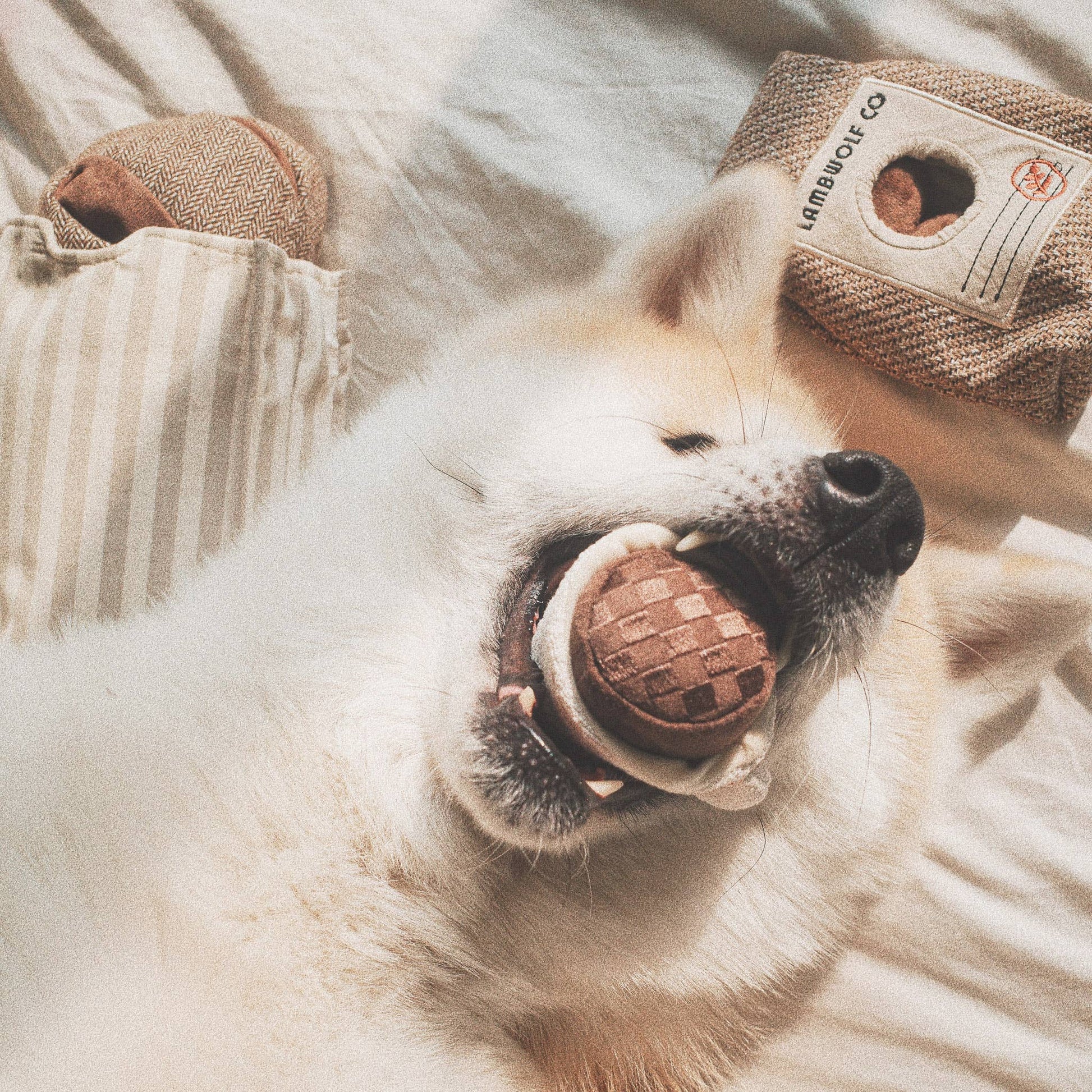 Espresso Pop Enrichment Dog Toy