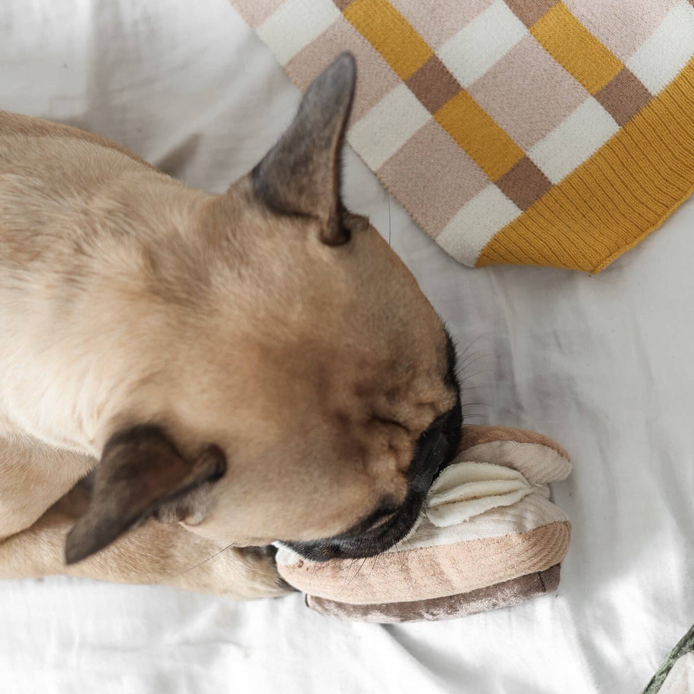 Éclair enrichment dog toy