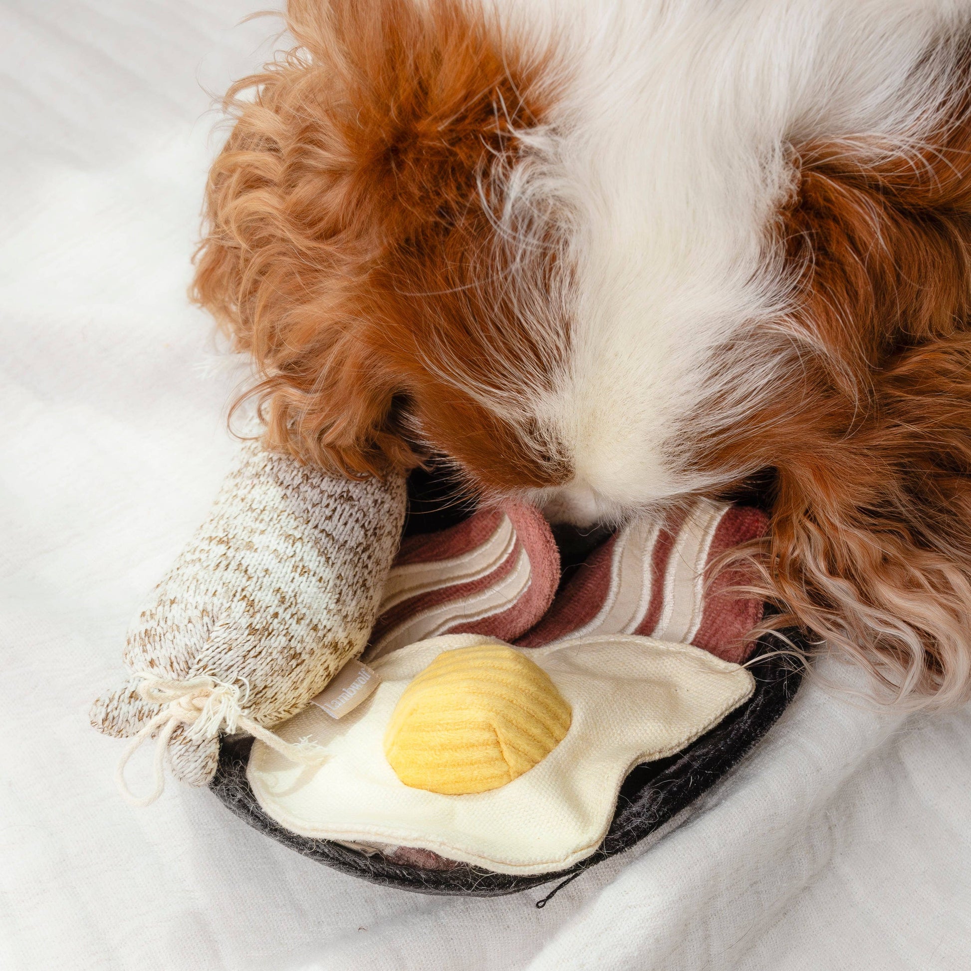 Breakfast Set enrichment dog toy