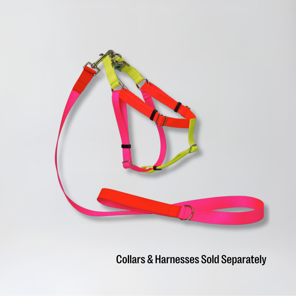 Pink/Orange Nylon Lead