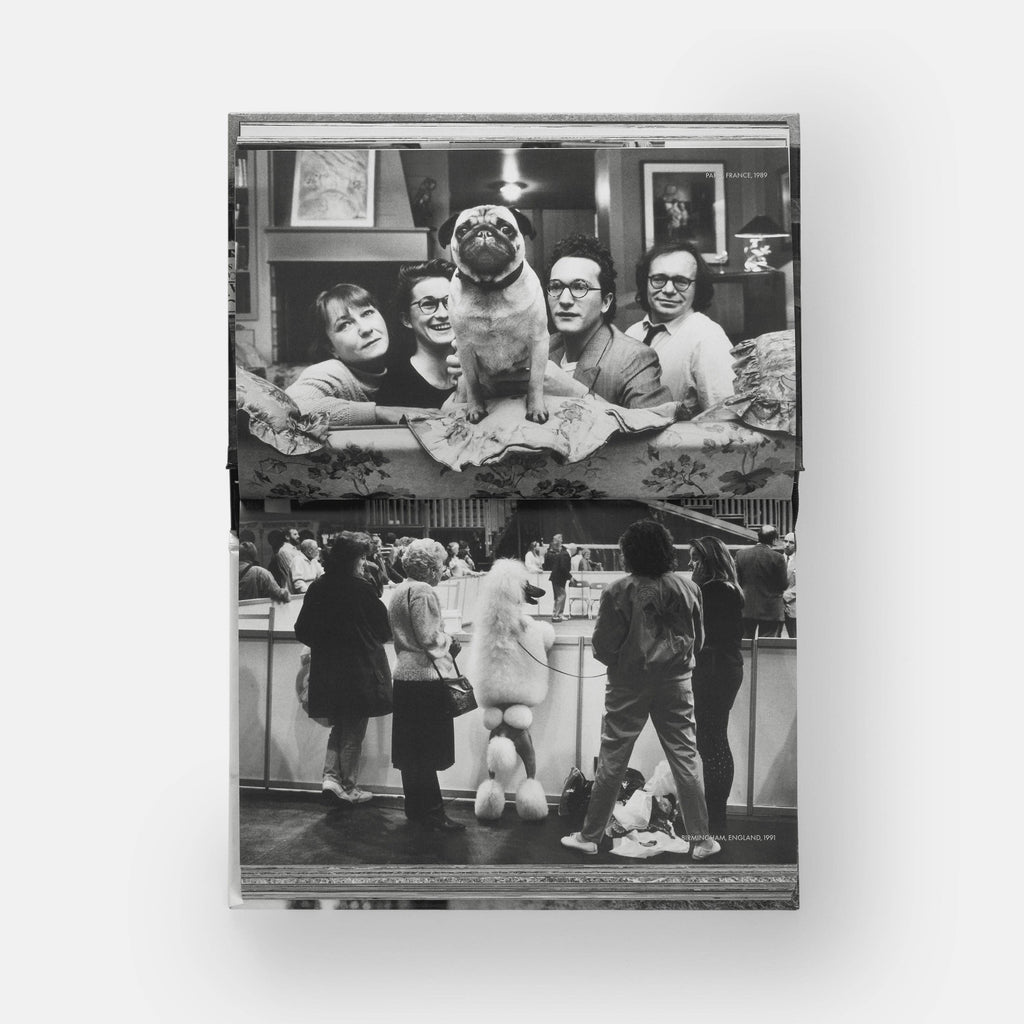 DogsDogs by Elliott Erwitt