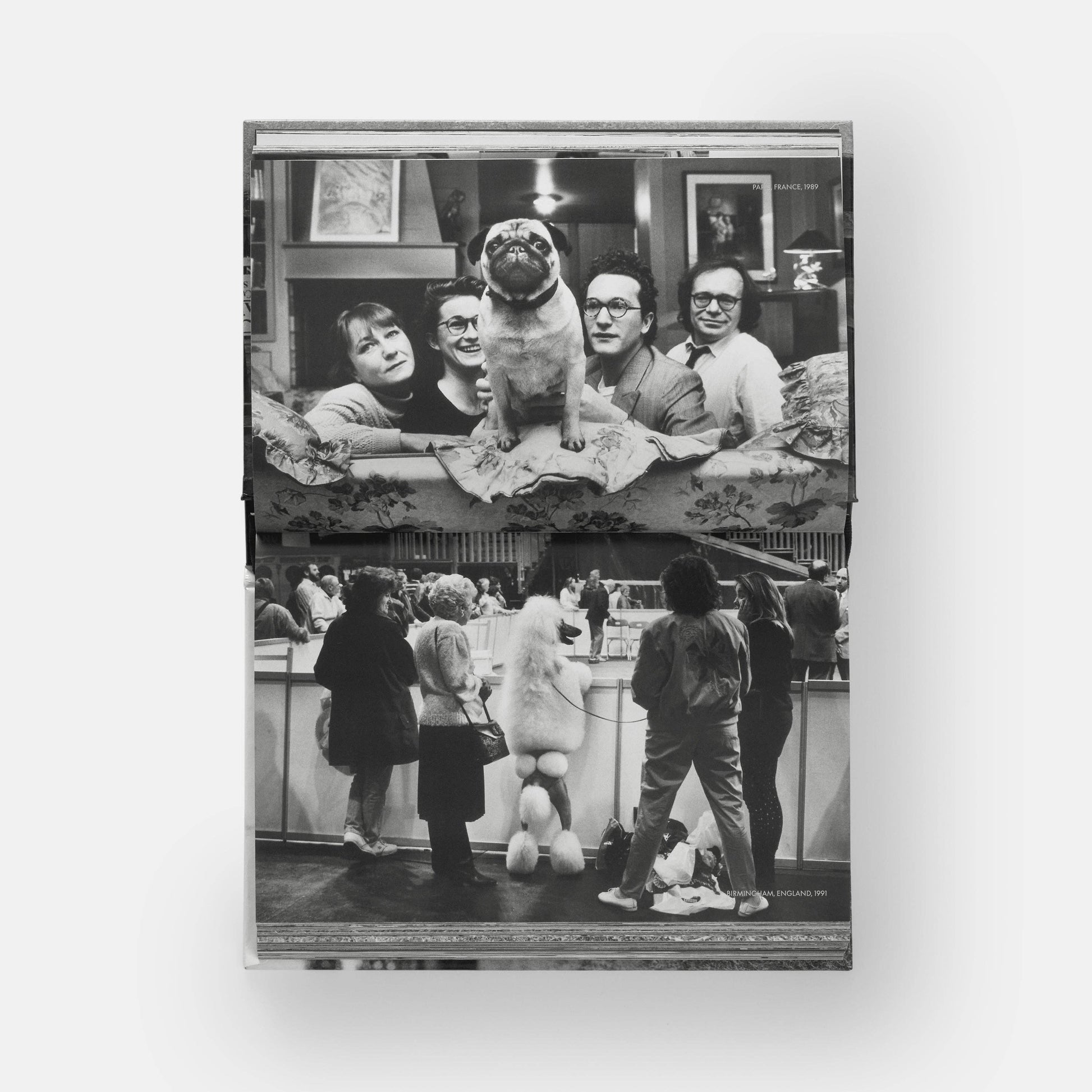 DogsDogs by Elliott Erwitt