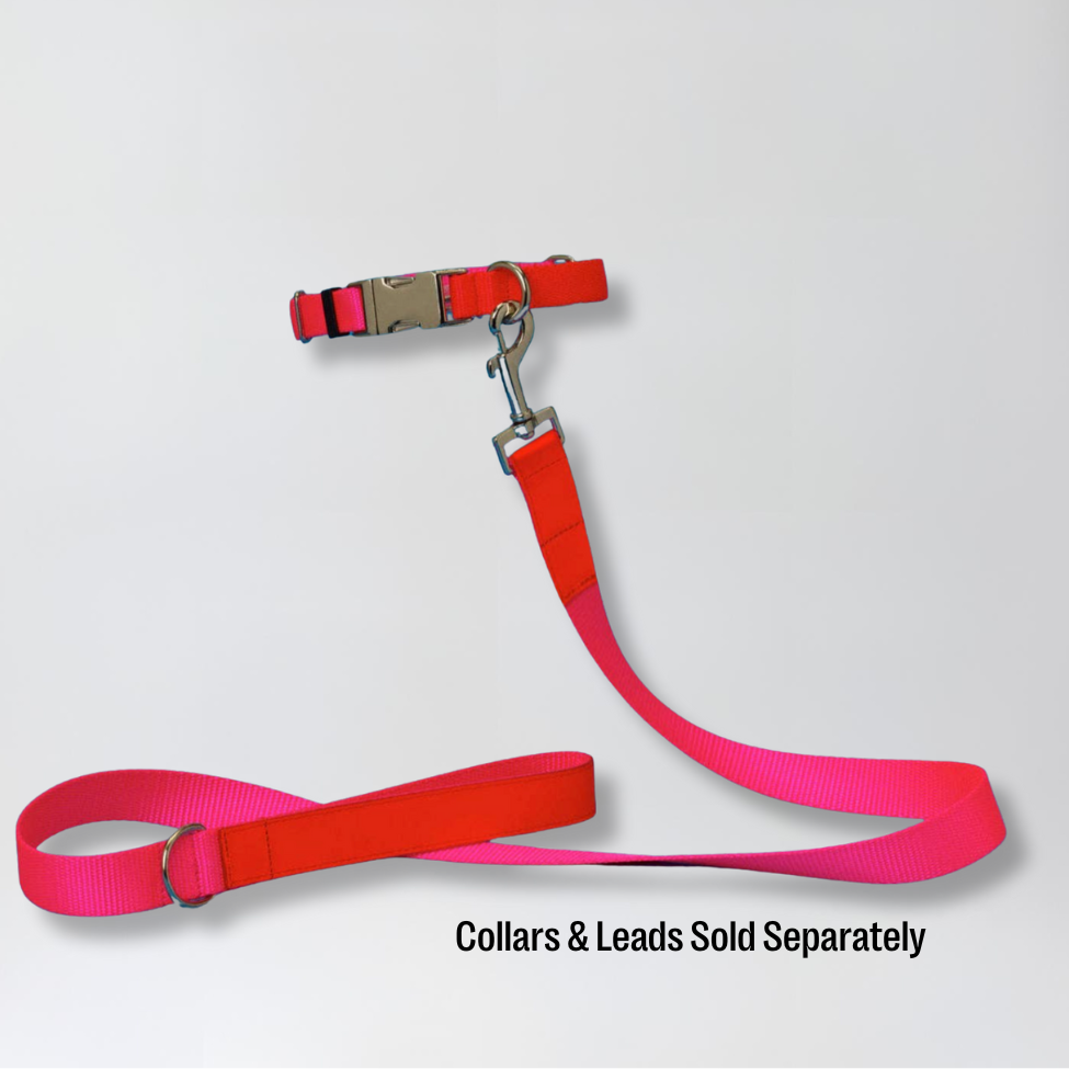 Pink/Orange Nylon Lead