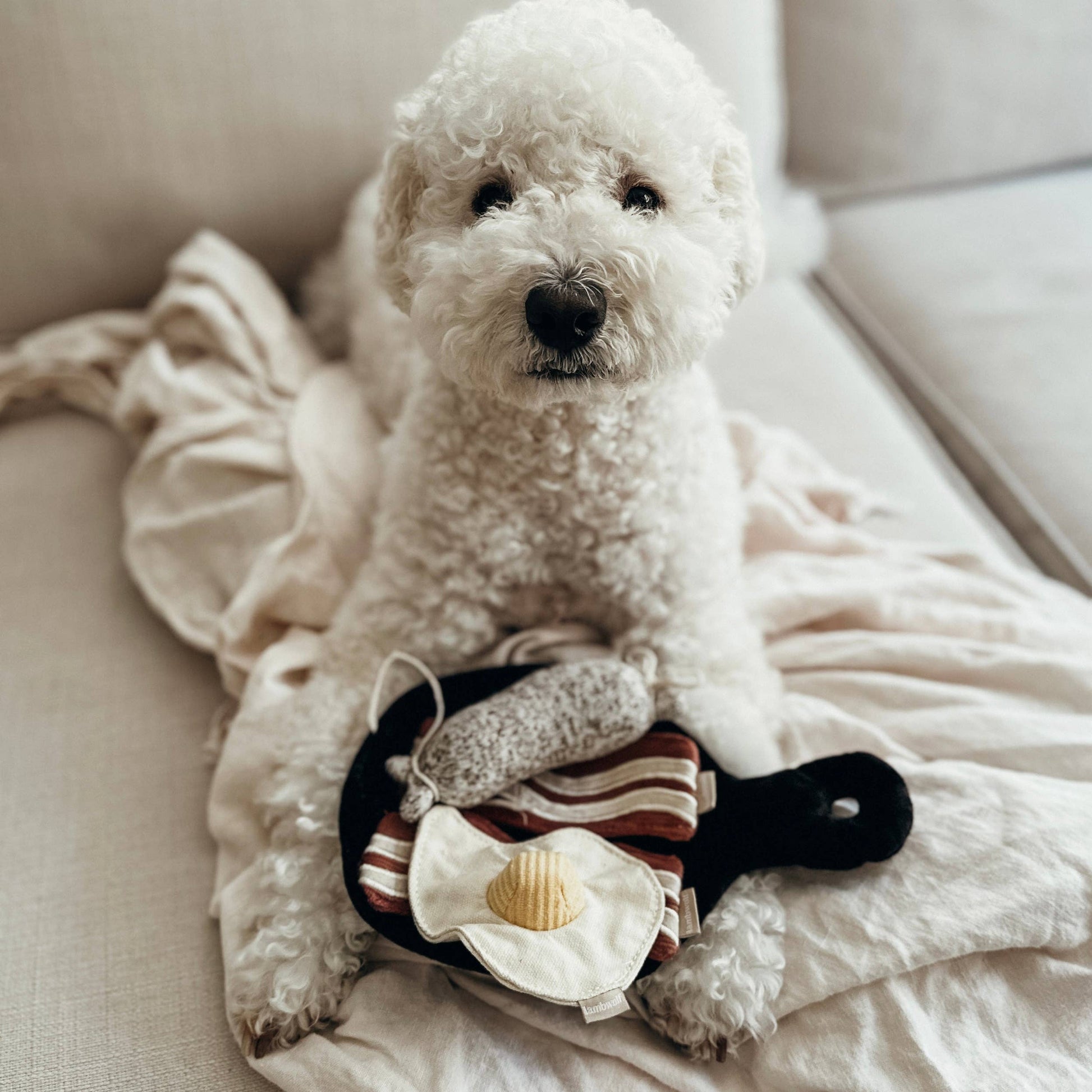 Breakfast Set enrichment dog toy