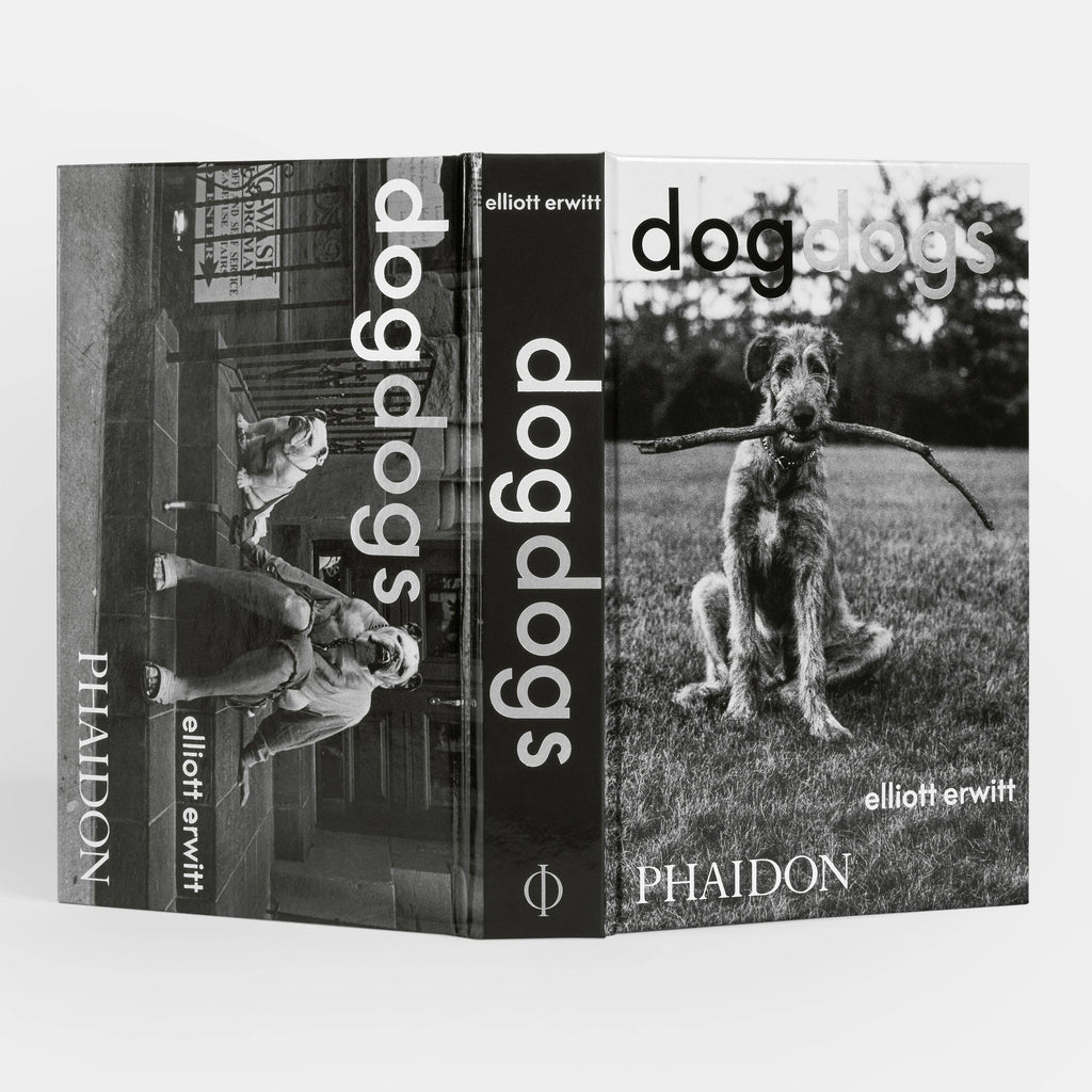 DogsDogs by Elliott Erwitt