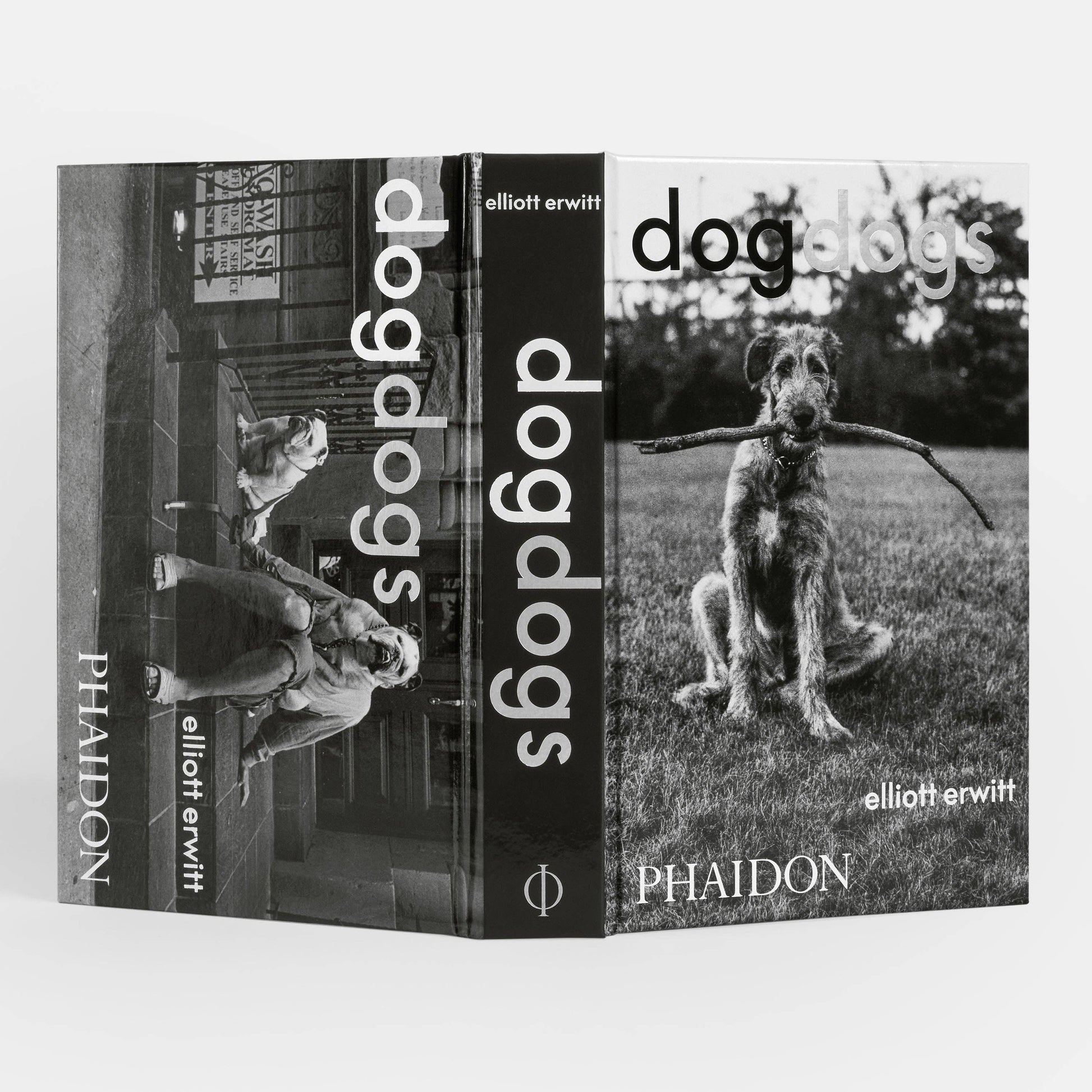 DogsDogs by Elliott Erwitt