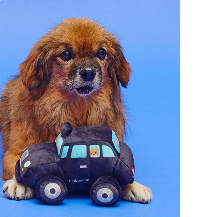 London Taxi British Dog Toy