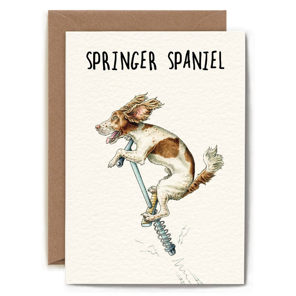 Springer Spaniel Card - Everyday Card - Funny