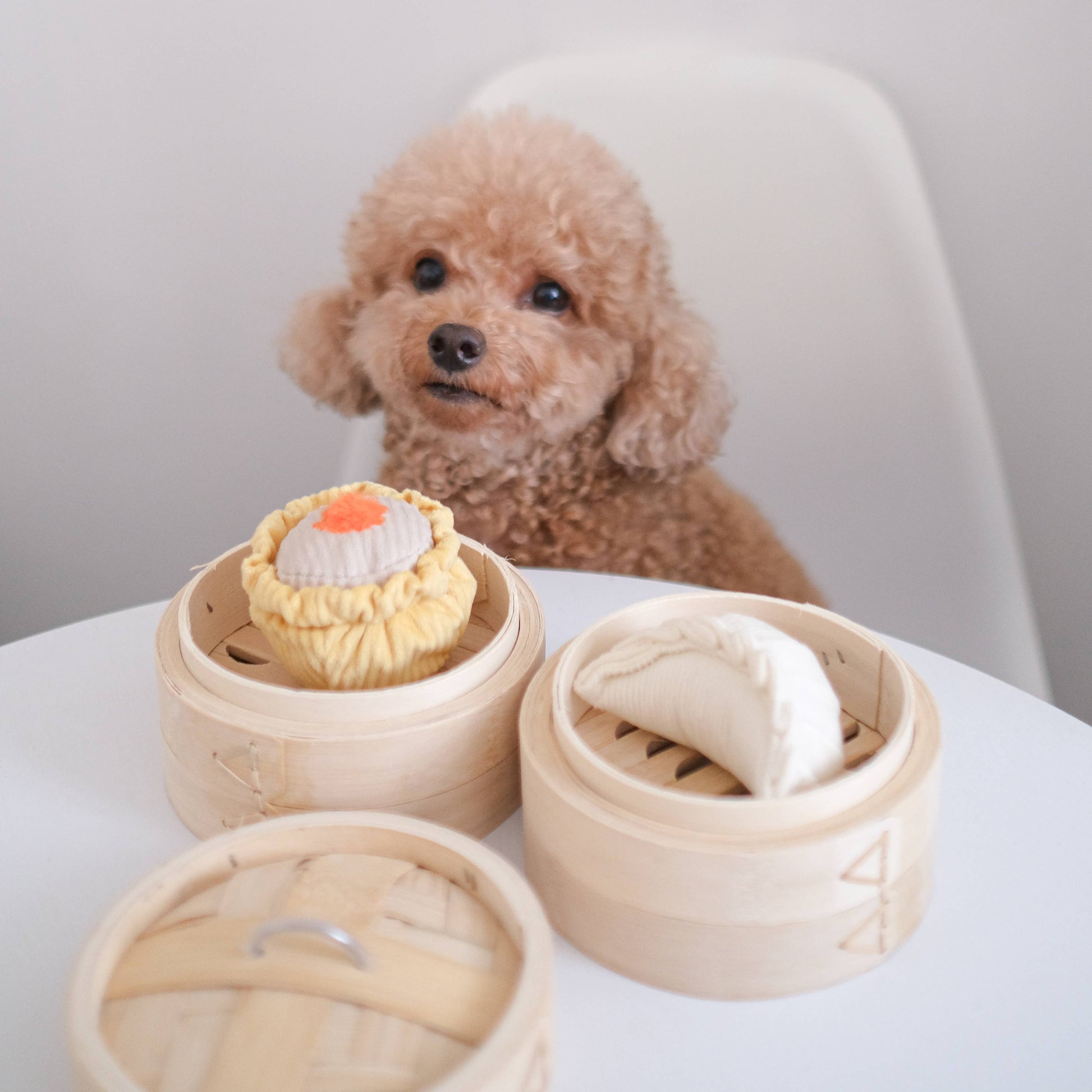Dim Sum Pop enrichment dog toy
