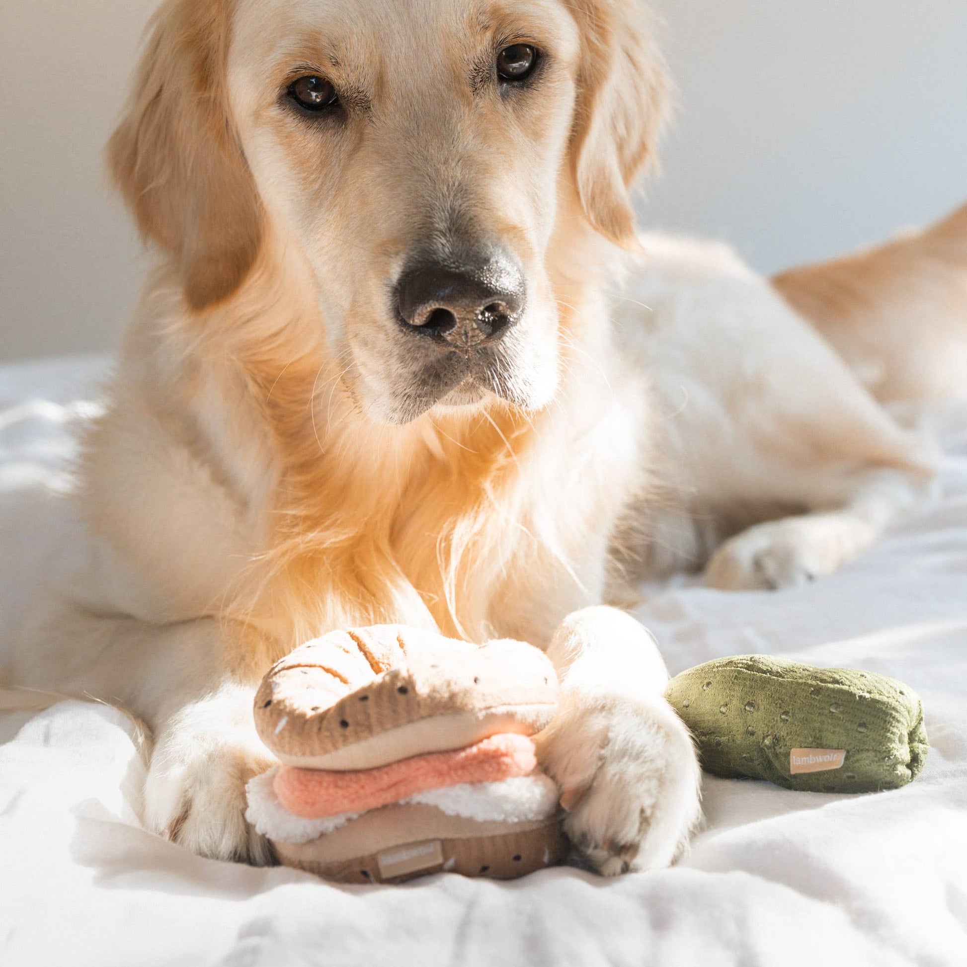 Bagel + Pickle enrichment dog toy