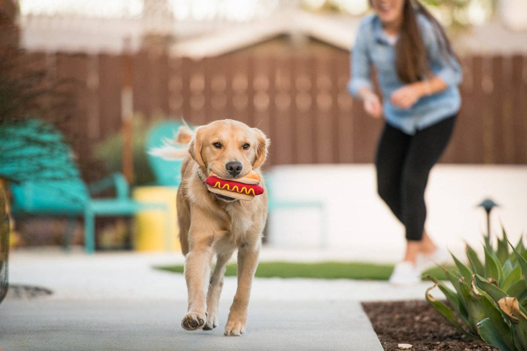 American Classic Hot Dog