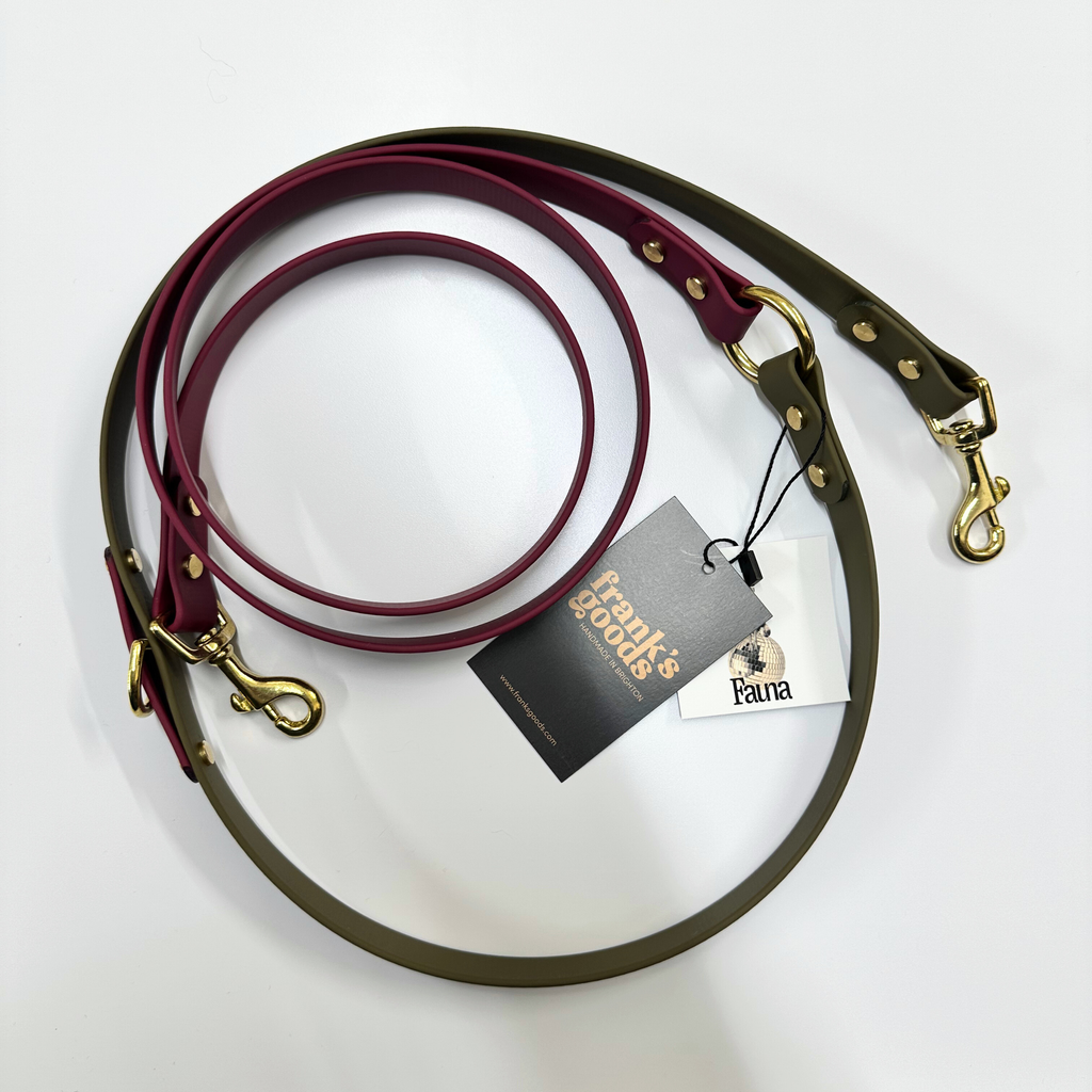 Dottie Multiway Dog Lead in Wine & Olive