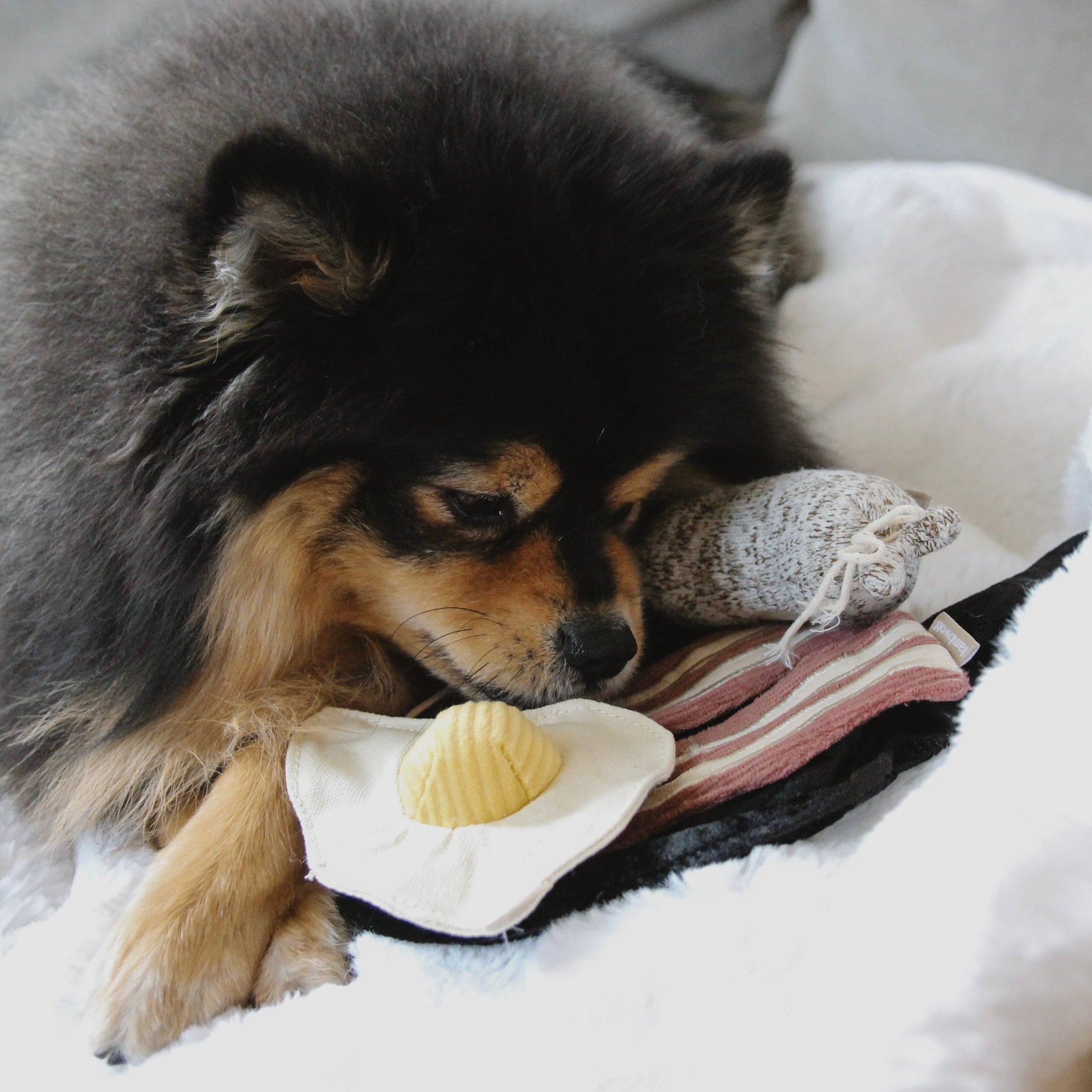 Breakfast Set enrichment dog toy