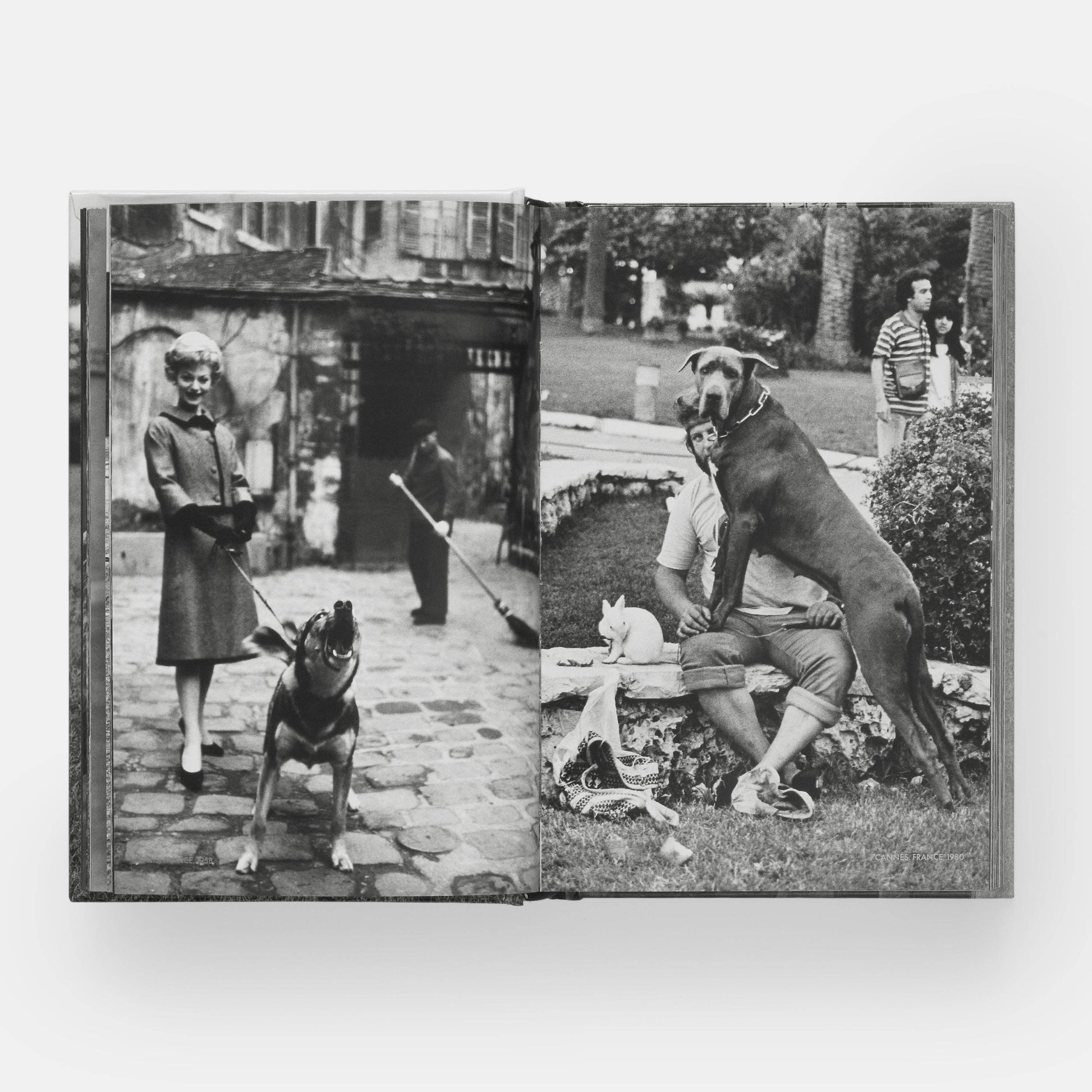 DogsDogs by Elliott Erwitt