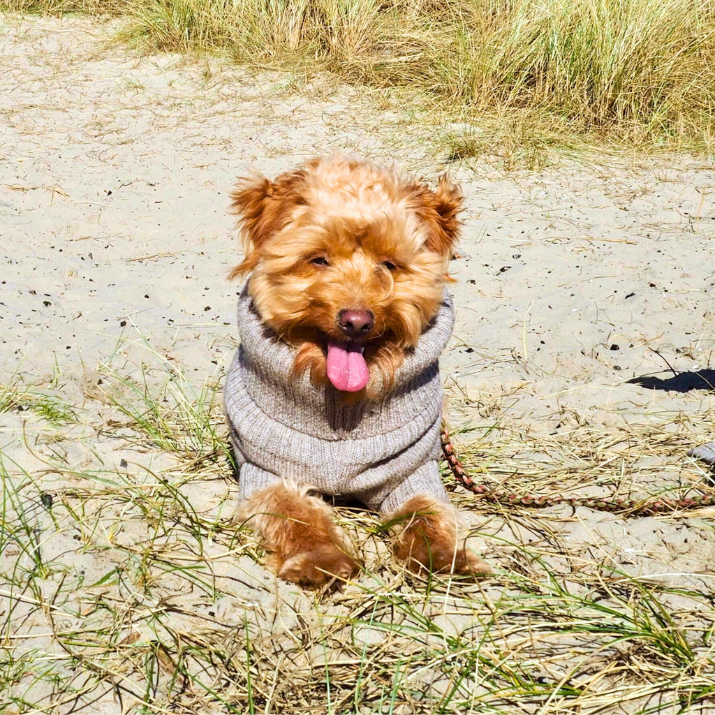 Oatmeal British Wool Jumper