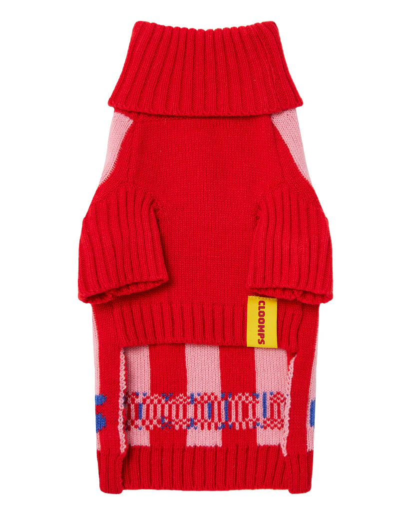 Lollipop Cloomps Jumper